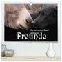 Produktbild: DIN A2 Premium
