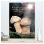 Produktbild: DIN A2 Premium