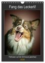 Produktbild: DIN A4