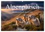 Produktbild: DIN A2