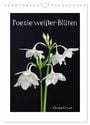 Produktbild: DIN A4