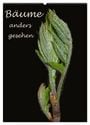 Produktbild: DIN A2