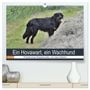 Produktbild: DIN A2 Premium