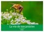 Produktbild: DIN A2