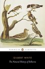 Produktbild: Taschenbuch