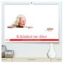 Produktbild: DIN A2 Premium