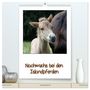 Produktbild: DIN A2 Premium