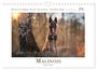 Produktbild: Kalender