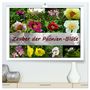 Produktbild: DIN A2 Premium