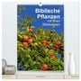 Produktbild: DIN A2 Premium