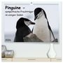 Produktbild: DIN A2 Premium