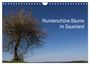 Produktbild: DIN A4