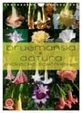 Produktbild: DIN A4