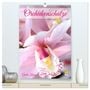 Produktbild: DIN A2 Premium