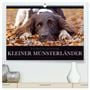 Produktbild: DIN A2 Premium