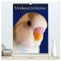 Produktbild: DIN A2 Premium