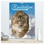 Produktbild: DIN A2 Premium