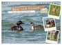 Produktbild: DIN A5