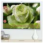 Produktbild: DIN A2 Premium