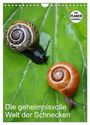 Produktbild: DIN A4