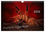 Produktbild: DIN A4