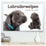 Produktbild: DIN A2 Premium