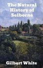 Produktbild: gebundene Ausgabe