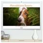 Produktbild: DIN A2 Premium