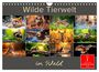 Produktbild: DIN A4