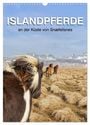 Produktbild: DIN A3