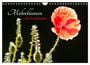 Produktbild: DIN A4