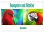 Produktbild: DIN A4