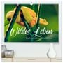 Produktbild: DIN A2 Premium