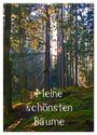 Produktbild: DIN A2