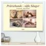 Produktbild: DIN A2 Premium