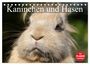 Produktbild: DIN A5