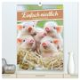 Produktbild: DIN A2 Premium