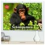 Produktbild: DIN A2 Premium