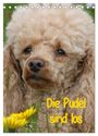 Produktbild: DIN A5