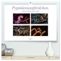 Produktbild: DIN A2 Premium