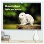 Produktbild: DIN A2 Premium
