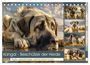 Produktbild: DIN A5