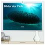 Produktbild: DIN A2 Premium