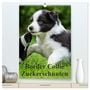 Produktbild: DIN A2 Premium