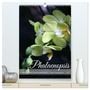 Produktbild: DIN A2 Premium