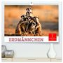 Produktbild: DIN A2 Premium