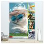 Produktbild: DIN A2 Premium