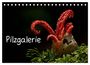Produktbild: DIN A5