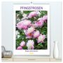 Produktbild: DIN A2 Premium