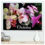 Produktbild: DIN A2 Premium